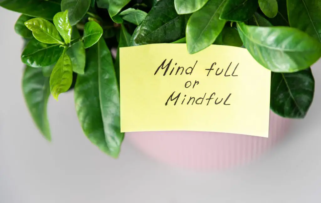 Sticking note with text "Mind full or Mindful" on green home plant.