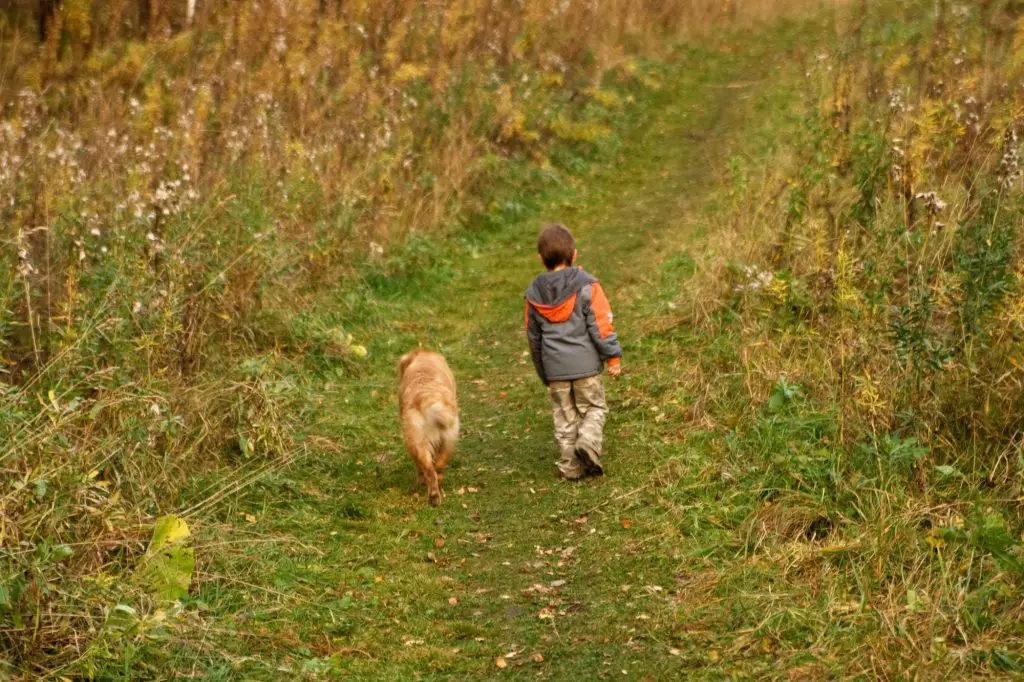 a boy and his dog walking along pondering thoughts of quotes about living in the moment