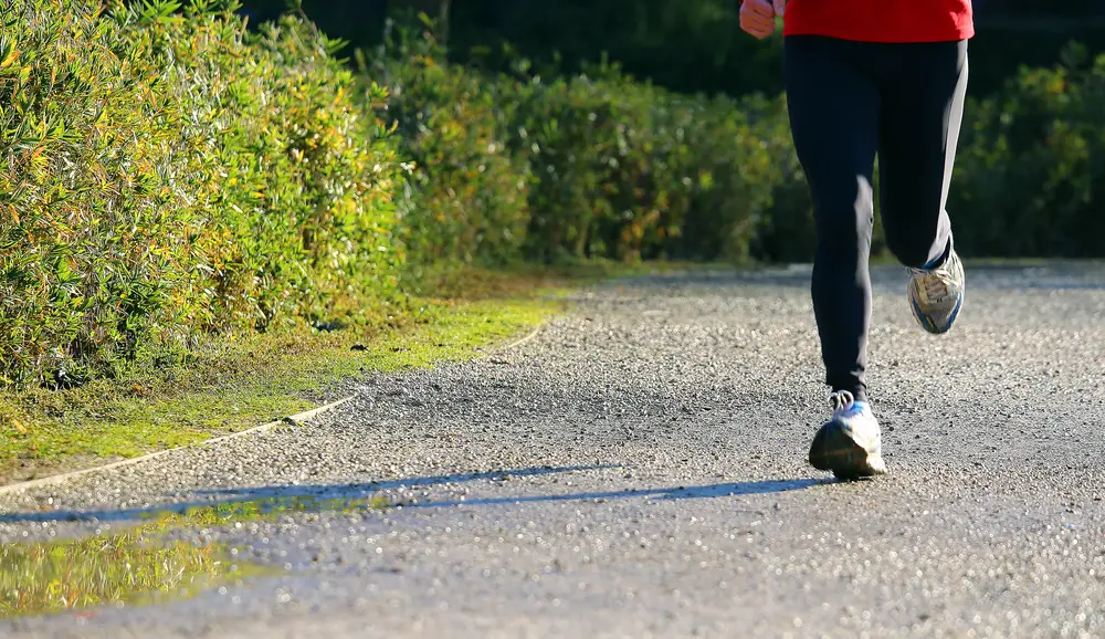 person who runs in the meadow to make physical activity before going to work